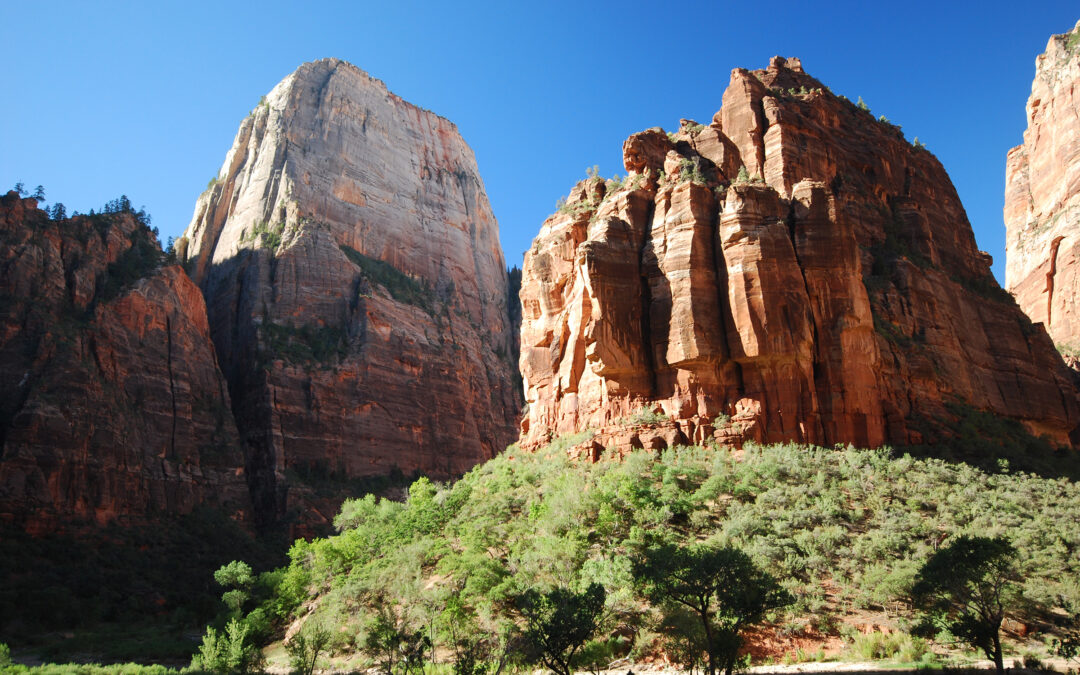 Zion National Park-Great White Throne